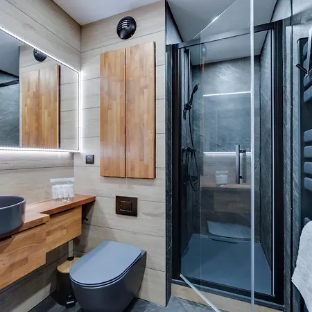 Renove Avec Piscine Et Jacuzzi, Skis Aux Pieds Aux Arcs 1950 - Fr-1-686-37